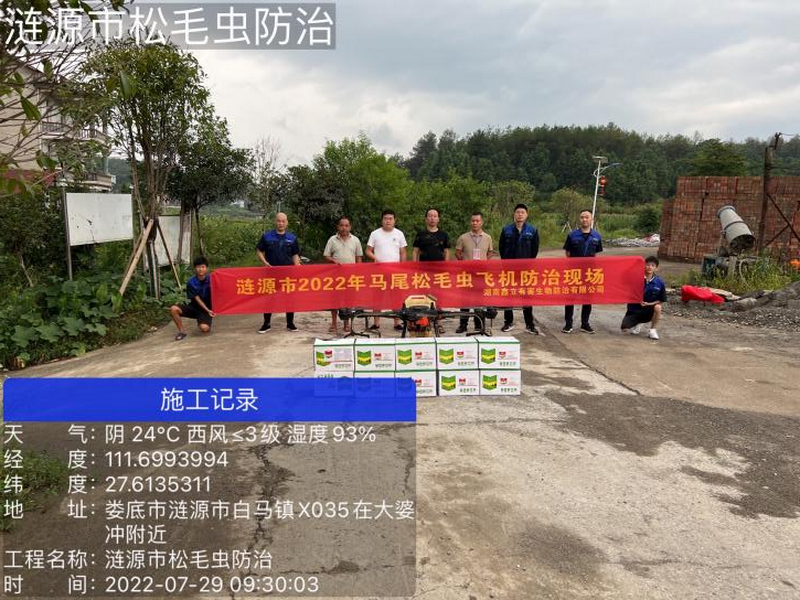 涟源市马尾松毛虫飞机防治现场