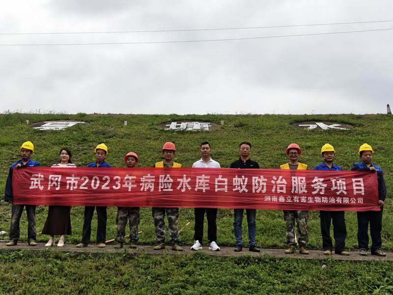 武冈市病险水库白蚁防治服务项目